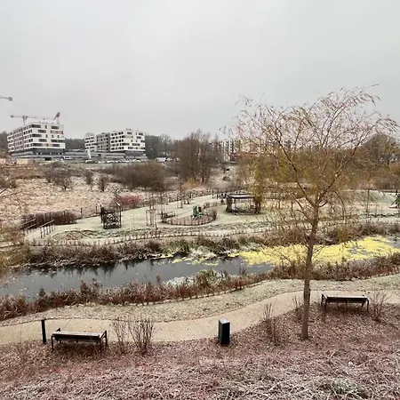 Remi Biotura * グダニスク